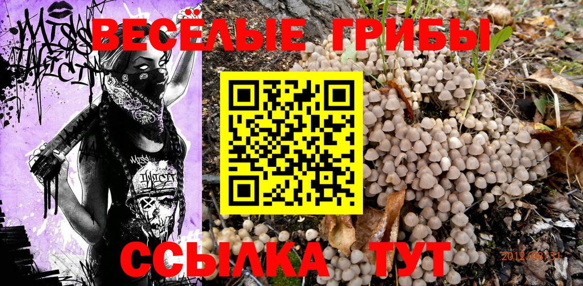 как найти наркотики  Галлюциногенные грибы GOLDEN TEACHER  Галлюциногенные грибы Cubensis  Вход с VPN  Волхов 