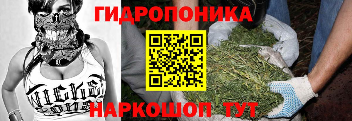 Конопля White Widow  Вход с VPN  Марихуана White Widow  Бошки марихуана ГИДРОПОН  Волхов  Бошки Шишки Ganja 